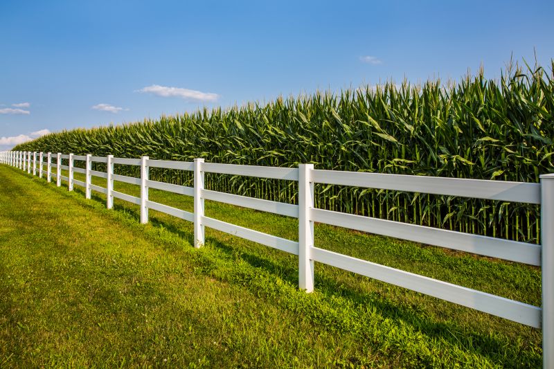 Split Rail Fence Staining detail